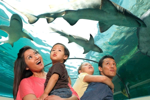 American Dream: Eintrittskarte für das SEA LIFE® Aquarium Aquarium
