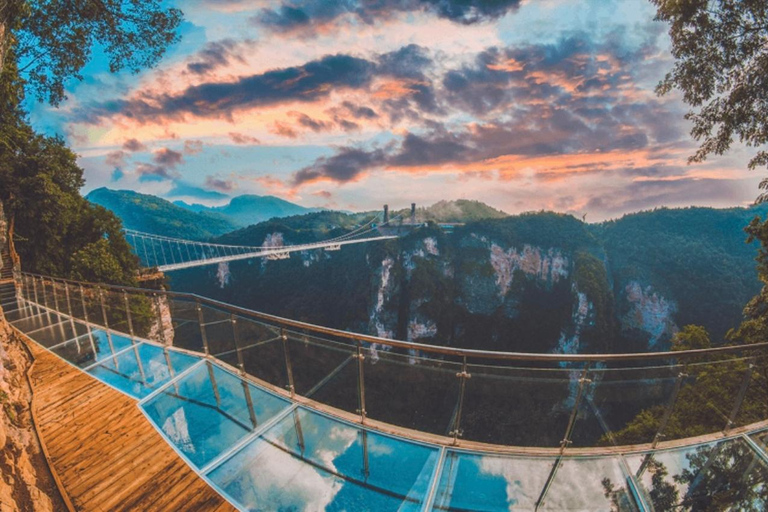 Vertical Heights: A 2-Day Private Discovery of Zhangjiajie