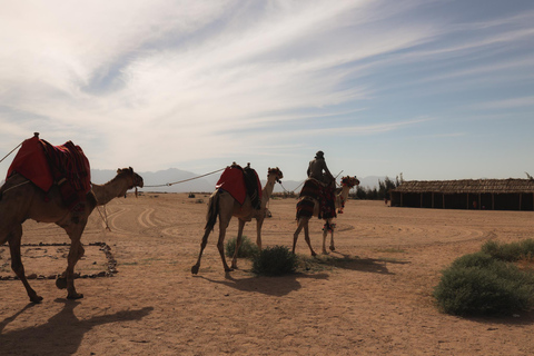 camel ride with sunset and star watching