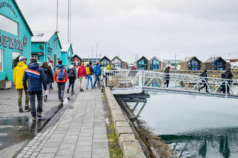 Reykjavik: papegaaiduikers spotten