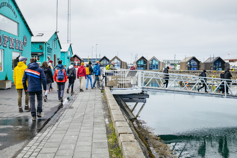 Reykjavik: Lunnefågelskådning med båt