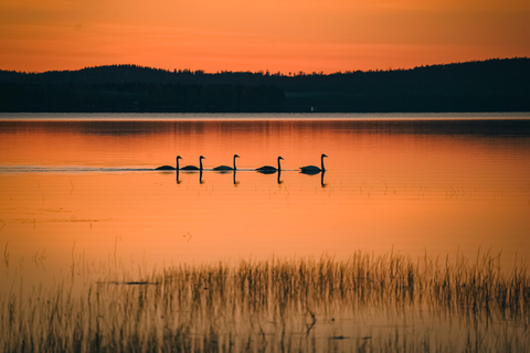 روفانيمي: متعة شمس منتصف الليل