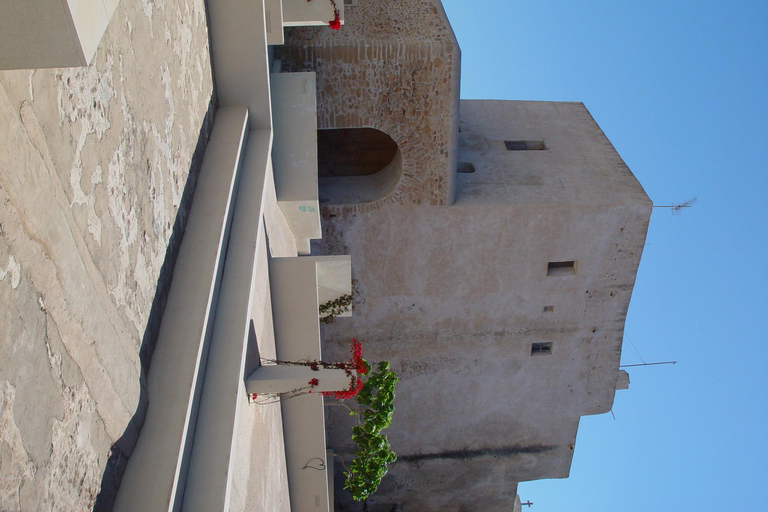 IBIZA excursión de un día a Formetera en Bicicleta