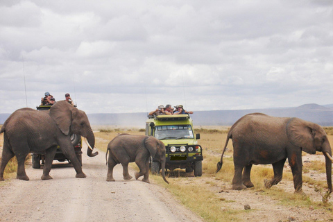 3 Tage Masai Mara Camping Safari mit einem 4x4 Land Cruiser Jeep