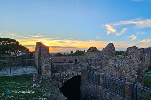 Guided group tour of Pompeii with an expert in archaeology.