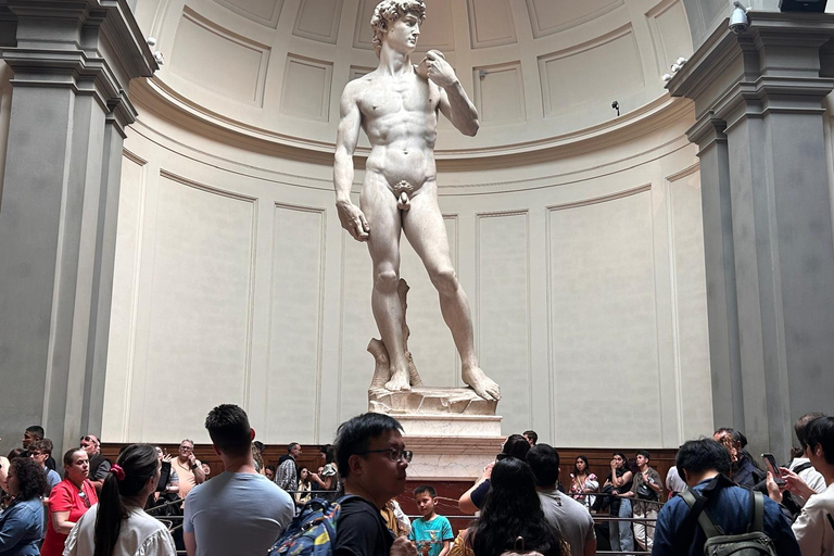 Florence: Michelangelo's David Priority Ticket en Audio App