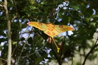 D'Antananarivo, 4 jours de escapade à Ranomafana sauvage - Housity