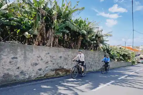 "Self-Guided" E-Bike Road Tour - Funchal to Câmara de Lobos
