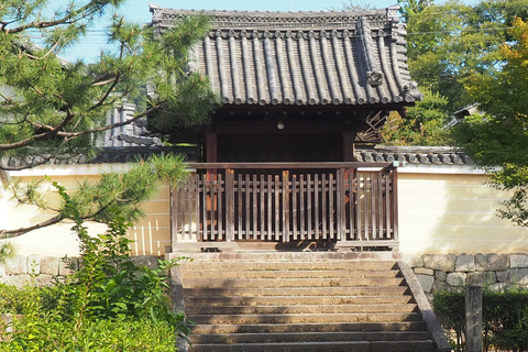E-Bike Tour in Kyoto with Asuka, Japanese graduate student