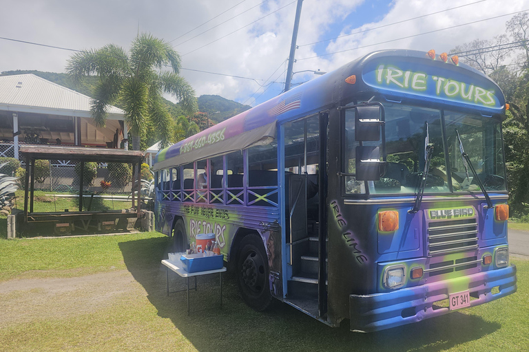 St. Kitts: Irie Open-Air Tour, Rum Tasting & Beach Time
