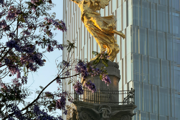 Mexico City: Cable Car, Forest & Centro Bike Tour