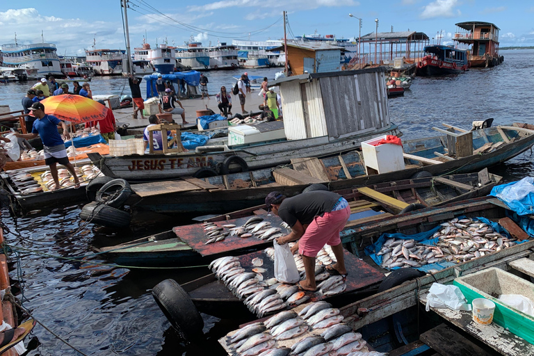 Manaus: Historical City Tour Historical City Tour
