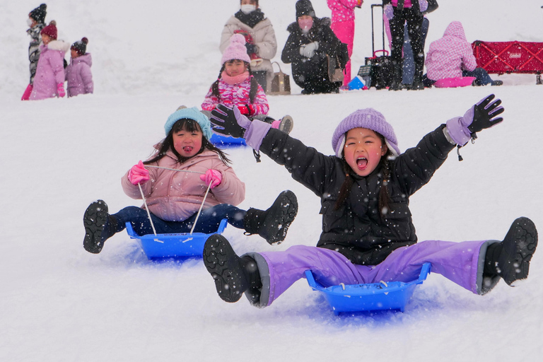 Nagoya: Gujo Hachiman, Snow Park, & Onsen Day Trip