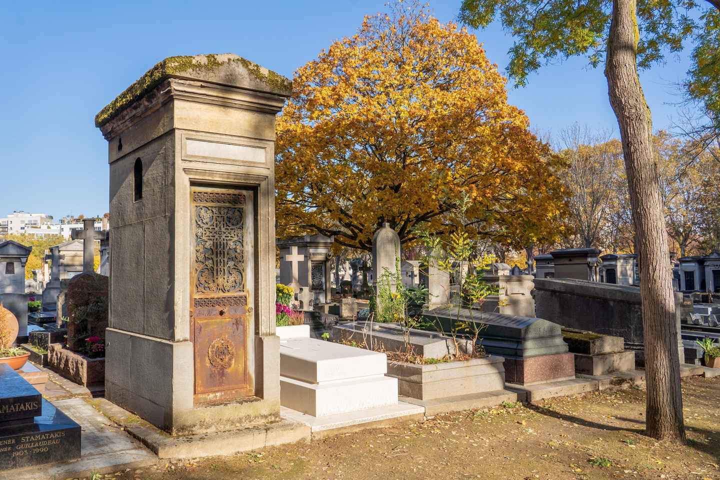 Best View of Paris: Montparnasse Tower Guided Tour