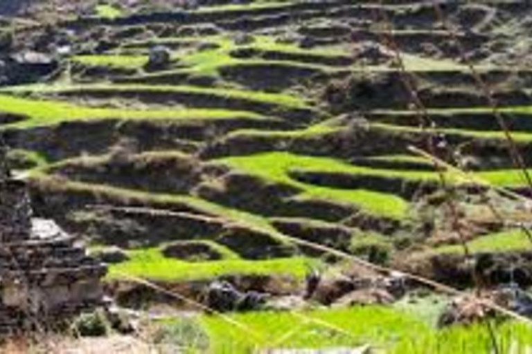 Nepal: Tamang Heritage Trail Trek - 7 Daagse Trek