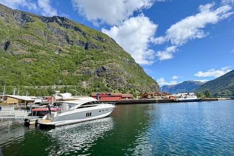 From Flåm: Private 2-Day Cruise to Bergen
