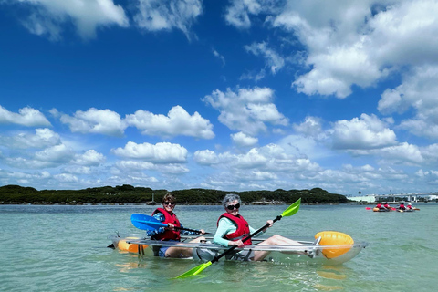 Clearwater: Guided Clear Kayaking Tour