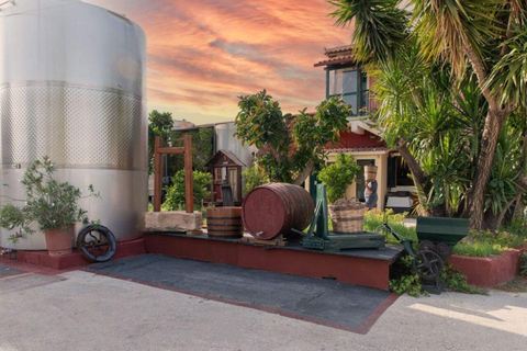 Zakynthos: Discover The Past