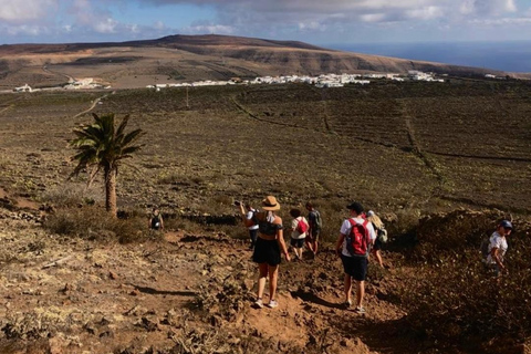 Lanzarote: tour de senderismo por el volcán norteTour Trekking Volcán Norte – Punto de Encuentro