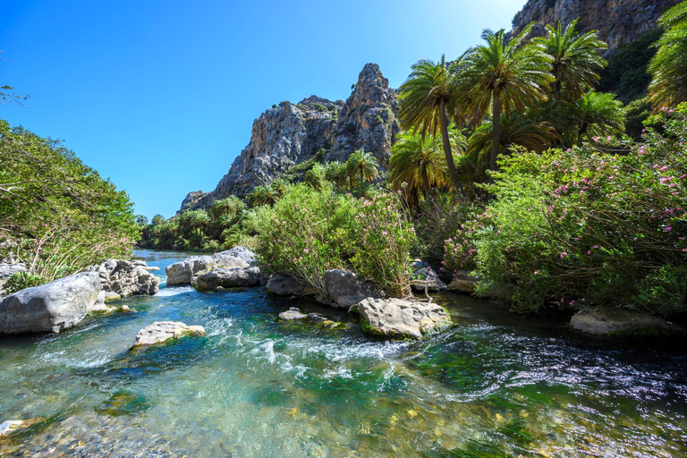 Kourtaliotiko Gorge River Trek & Preveli Beach with Lunch