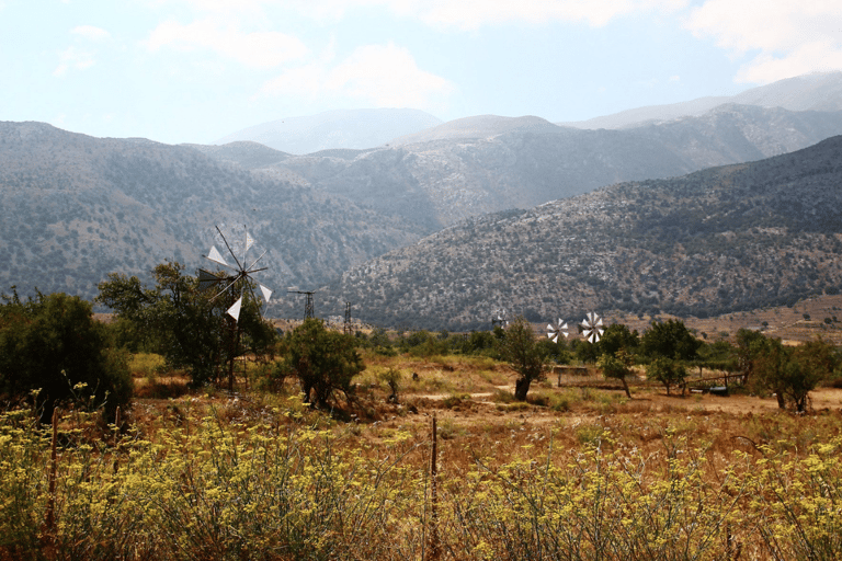 De Heraklion: Caverna de Zeus e Palácio de Knossos - excursão particularPasseio em veículo de 3 lugares