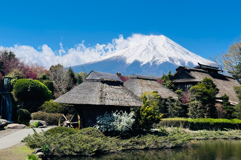 Tokyo: Private Daytrip to Mount Fuji - Fully Customizable Mt Fuji Private Luxury Van Tour (Customizable Experience)