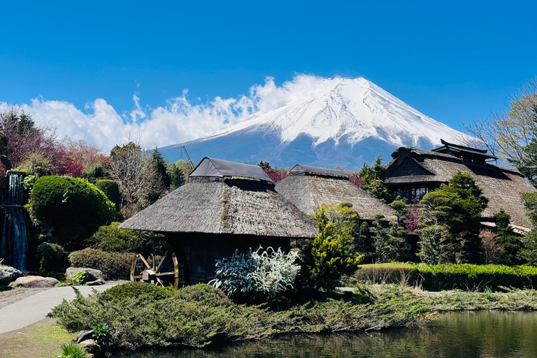 Tokyo: Private Daytrip to Mount Fuji - Fully Customizable Mt Fuji Private Luxury Van Tour (Customizable Experience)