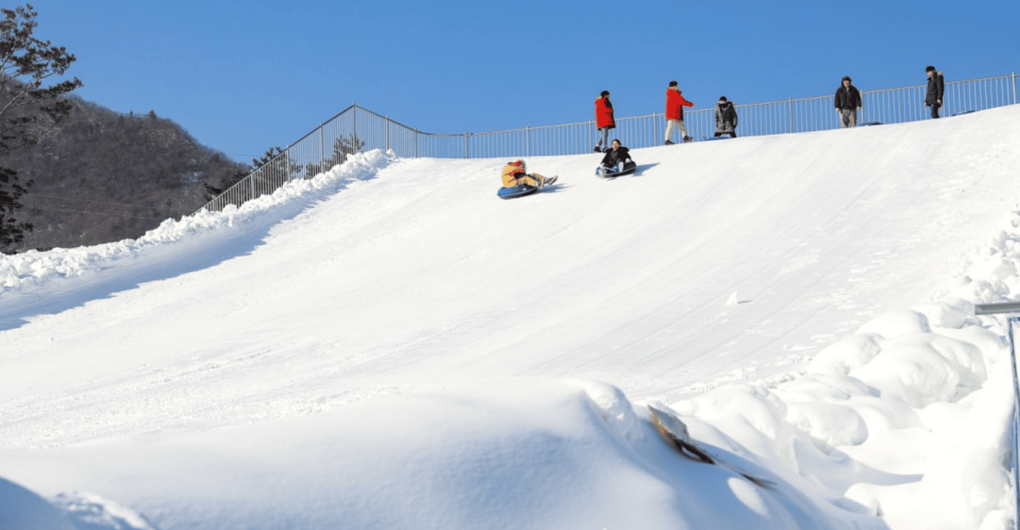 De Séoul, Festival de la truite de Pyeongchang - Hizvo