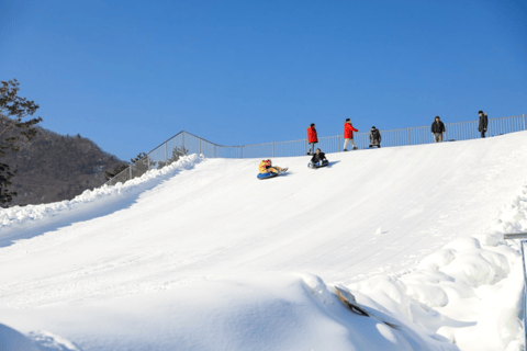 Uit Seoel: Pyeongchang ForelfestivalGroepstour, verzamelen bij Hongik University Station