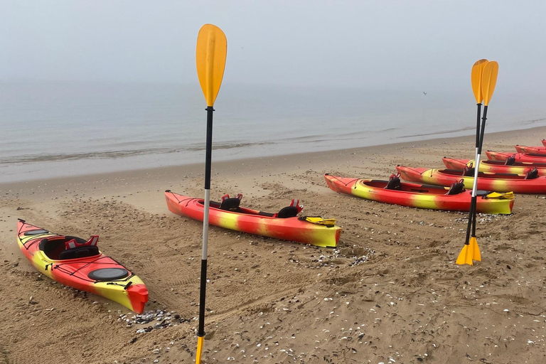 Walvis Bay: Seal Kayaking Adventure with Brunch
