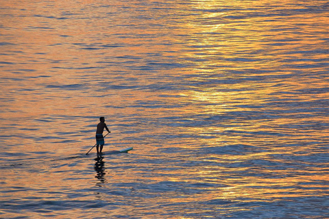 San Diego: Paddleboard Rental1-hour rental