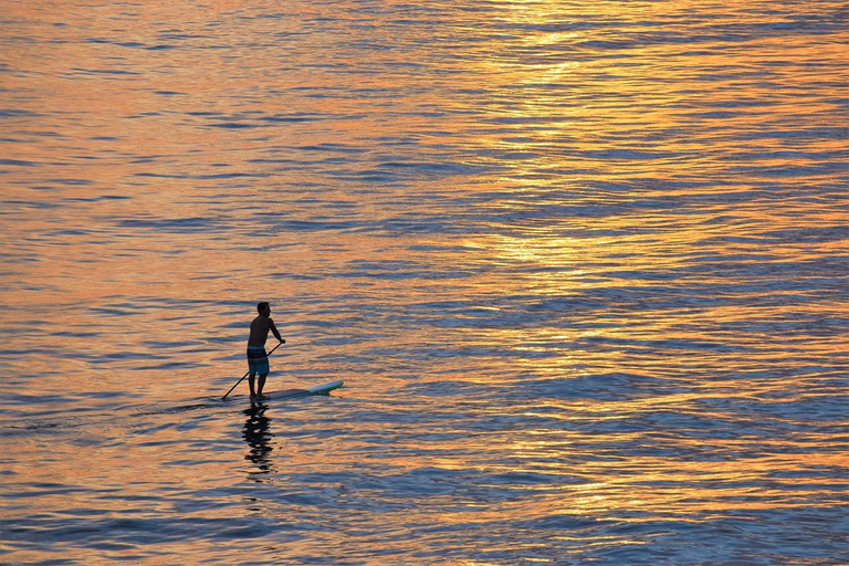 San Diego: Paddleboard Rental 4-hour rental