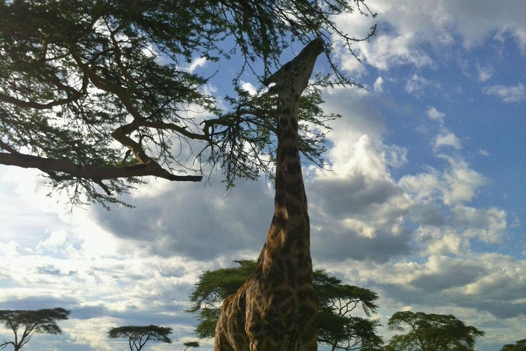 Nairobi: Crescent Island Sanctuary Day Trip with Lunch Nairobi: Crescent Island Sanctuary private day Trip