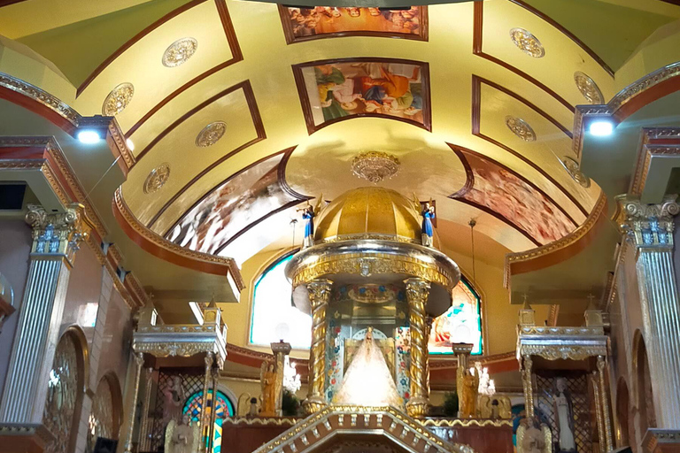 Cebu: 2-Day Private Tour Moalboal and Oslob