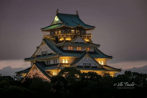 Osaka: Osaka City Highlights Tour With Luxury Vehicle Guide - Image 2