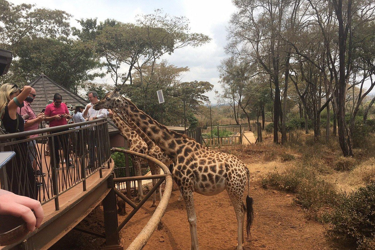 Nairobi: rondleiding door het olifantenweeshuis en het giraffencentrumNationaal park Nairobi, olifantenweeshuis en giraffencentrum