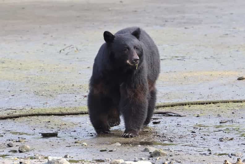 Ketchikan: Customizable Private Tour with guide