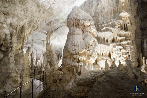 Depuis Ljubljana : Grotte de Postojna, château de Predjama et visite de Piran