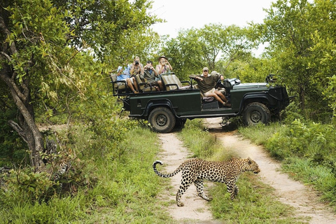 Jaipur: Amagarh Leopard Reserve Safari Private Tour