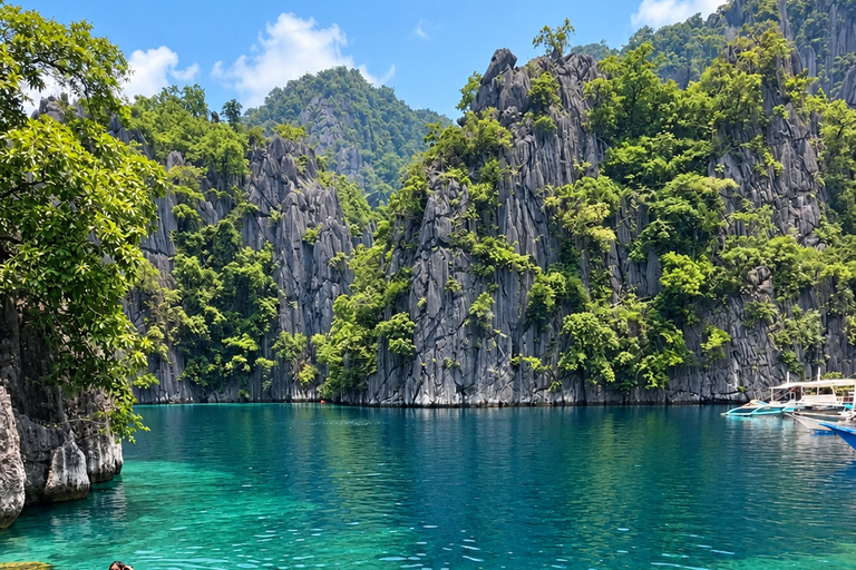 Coron: Private Boat Tour with Local Market Experience