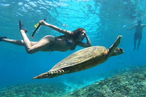 Turtle Tour Gili Trawangan : Private Snorkeling 3 Gili's Turtle Trip Gili Trawangan : Private Snorkeling 3 Gili's