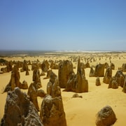 Pinnacles Desert Private Tour