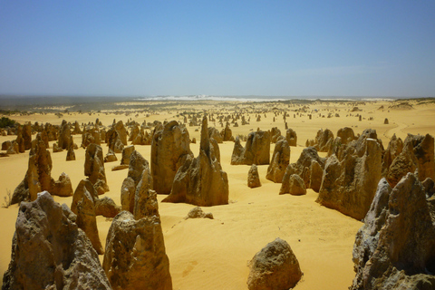 جولة خاصة في صحراء بيناكلز