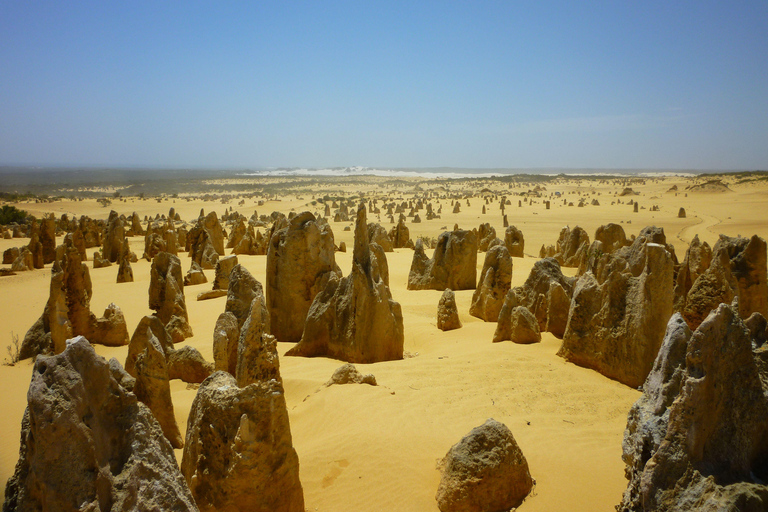 Pinnacles Desert Private Tour