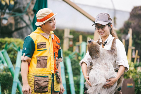 Hong Kong: Ocean Park Panda Visit Entry Ticket with Transfer Ocean Park (with ticket and transfer)