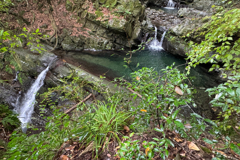 Near KIX: Shugendo Sanctuary of Waterfalls & Tranquility