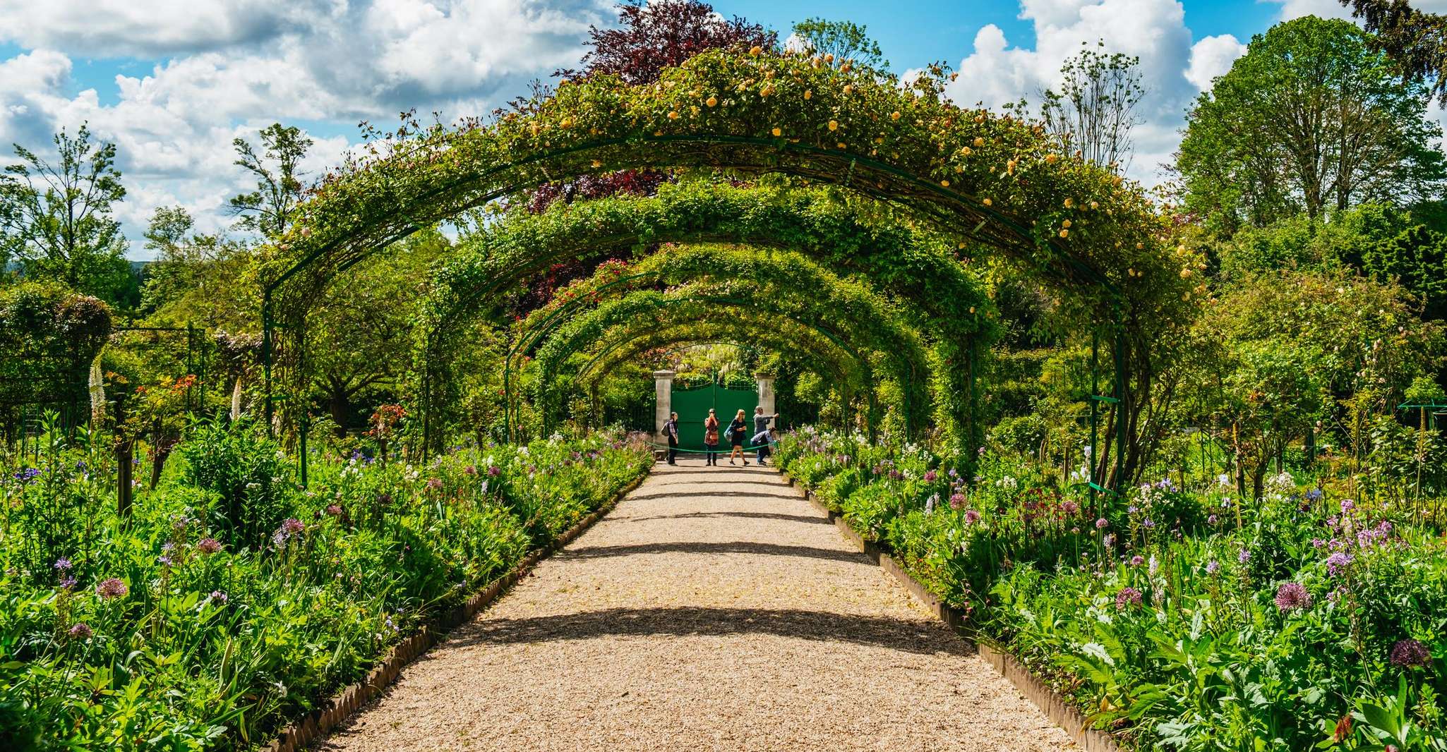From Paris: Giverny, Monet’s Home & Gardens Half-Day Trip photo 10