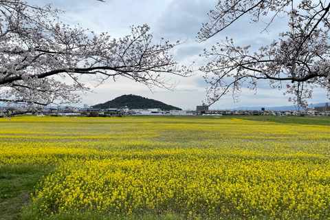 Asuka: Discover Origin of Japan–Historical Site and Nature
