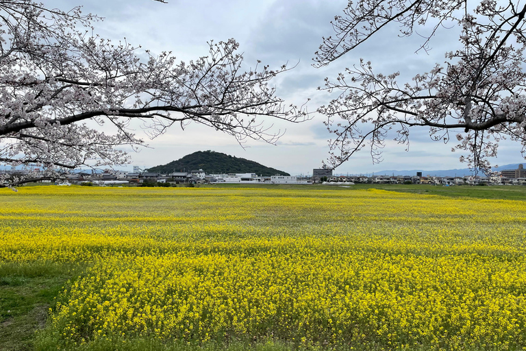 Asuka: Discover Origin of Japan–Historical Site and Nature