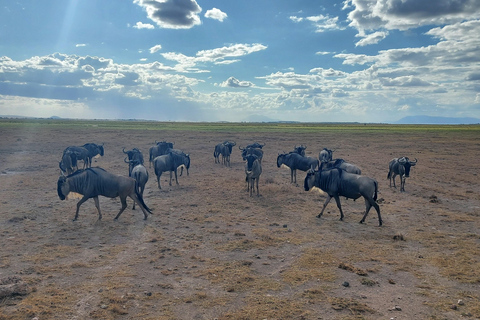 3-day Amboseli & SaltLick Safar: Kilimanjaro View & Treetop